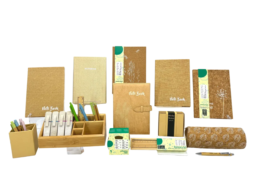 Material escolar ecológico para los minoristas en 2025