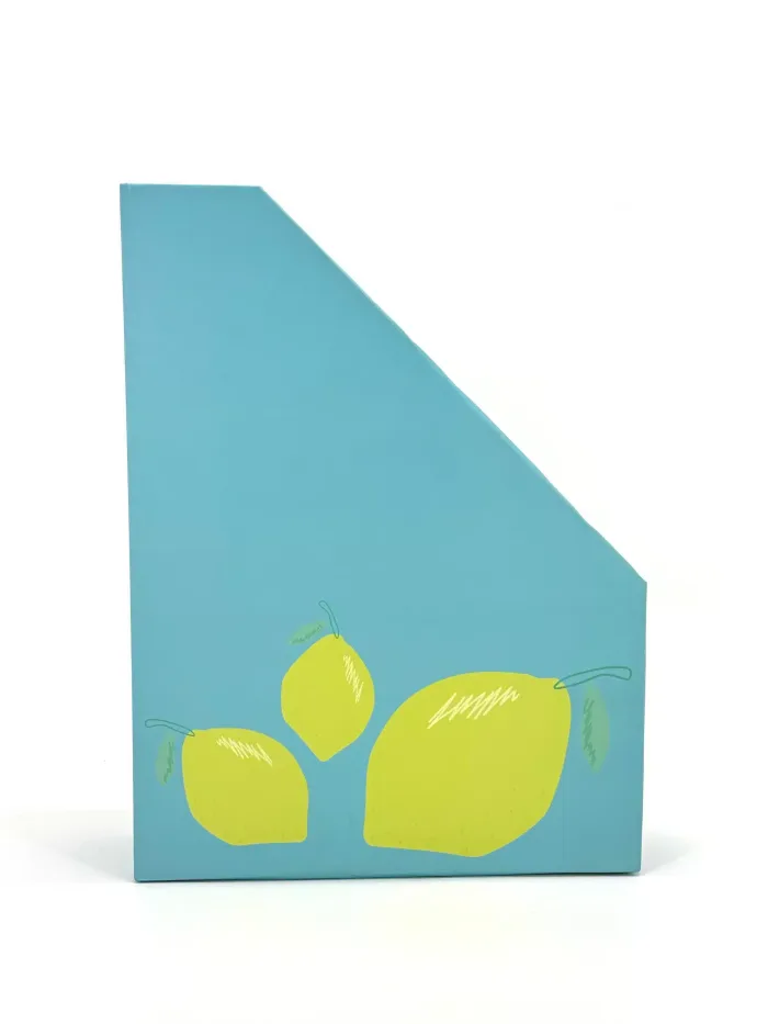 Wholesale Custom Lemon Print Slanted Magazine File - Image 2