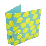 Wholesale Custom Lemon Pattern Lever Arch File for School & Office Organization