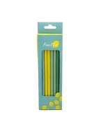 Wholesale Custom Lemon Pencil Stationery Set of Vibrant Pencils for School or Office