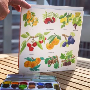 aguarela-frutos-prática-1